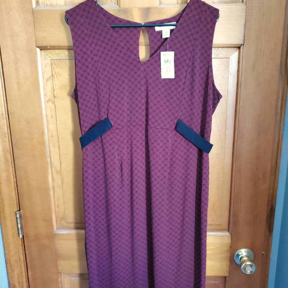 NWT- Motherhood Maternity Dress